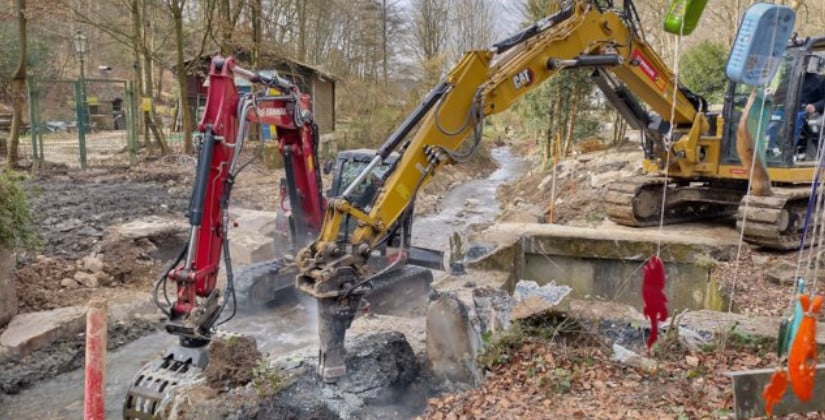 Lachslaichgewässer Wupper- Murbach als Lebensraum für Wanderfische Lachslaichgewässer Wupper- Murbach als Lebensraum für Wanderfische