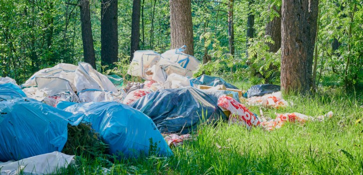 Aufruf: Die Stadt vom Müll befreien 