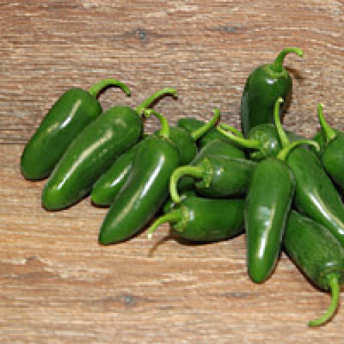 Jalapeno grün 50g Jalapeno grün 50g