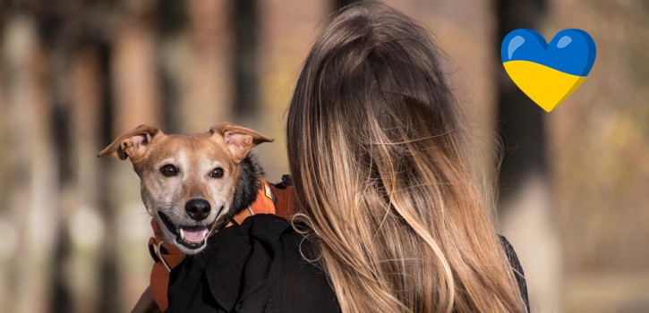 Doch was gilt in Flüchtlingsunterkünften? Müssen die Tiere in Quarantäne …
