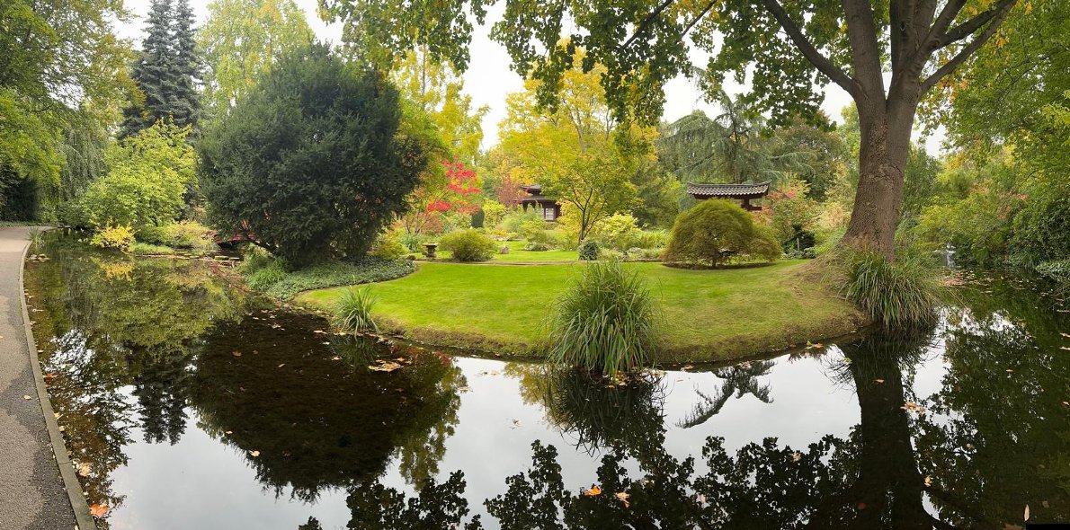 Philipps-Gaerten-Leverkusen-Wir-fuer-Rheindorf-Japanischer-Garten-quer