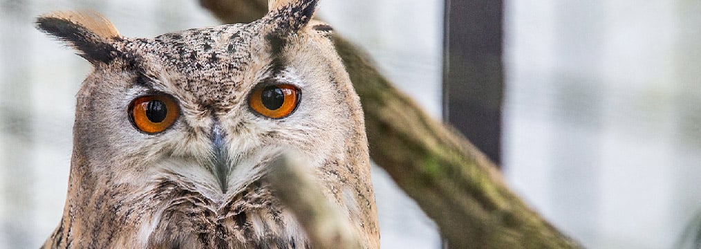 Vogelpark Vogelpark