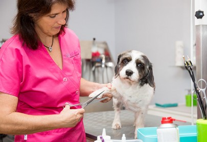 Hundesalon Monheim - Für alle Felle