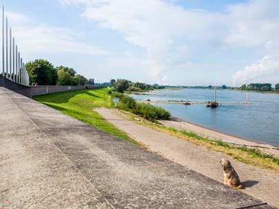 Das Hotel-Restaurant Zum Vater Rhein Monheim liegt direkt am Ufer.